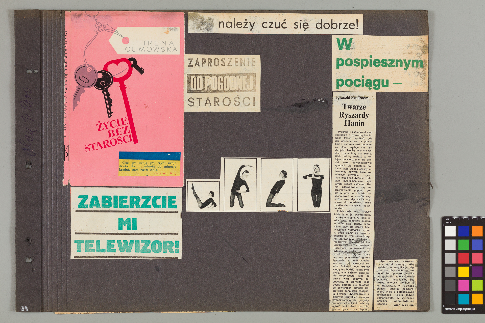 Strona z albumu Wejchertów