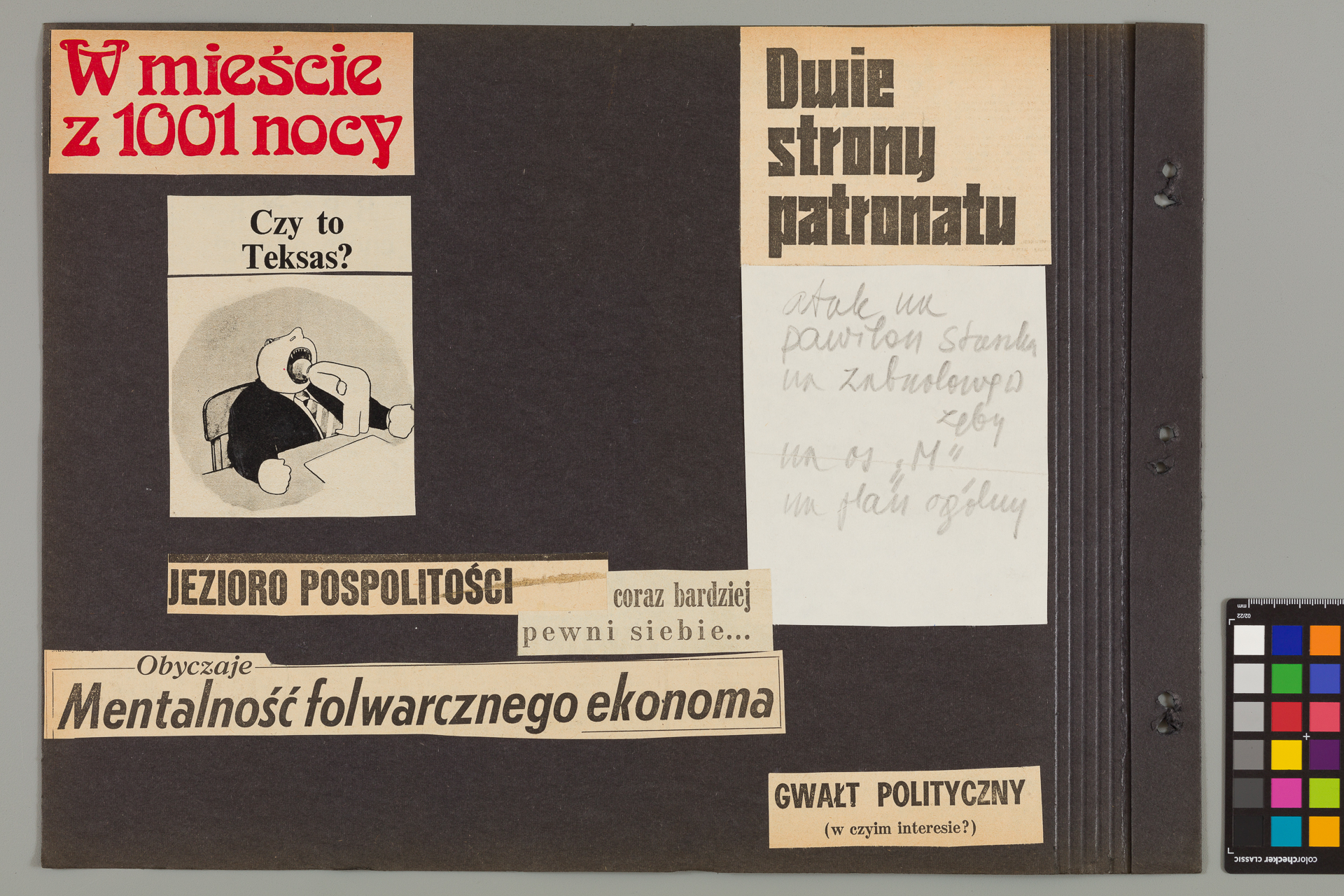 Strona z albumu Wejchertów