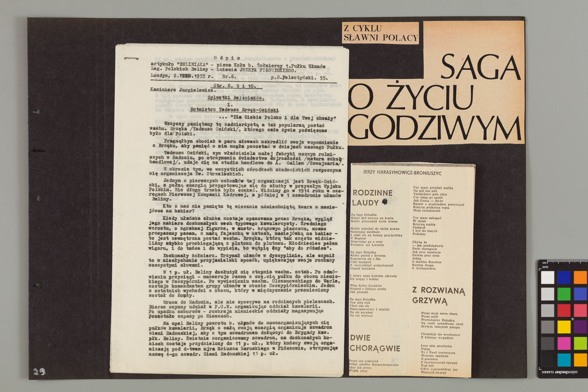 Strona z albumu Wejchertów