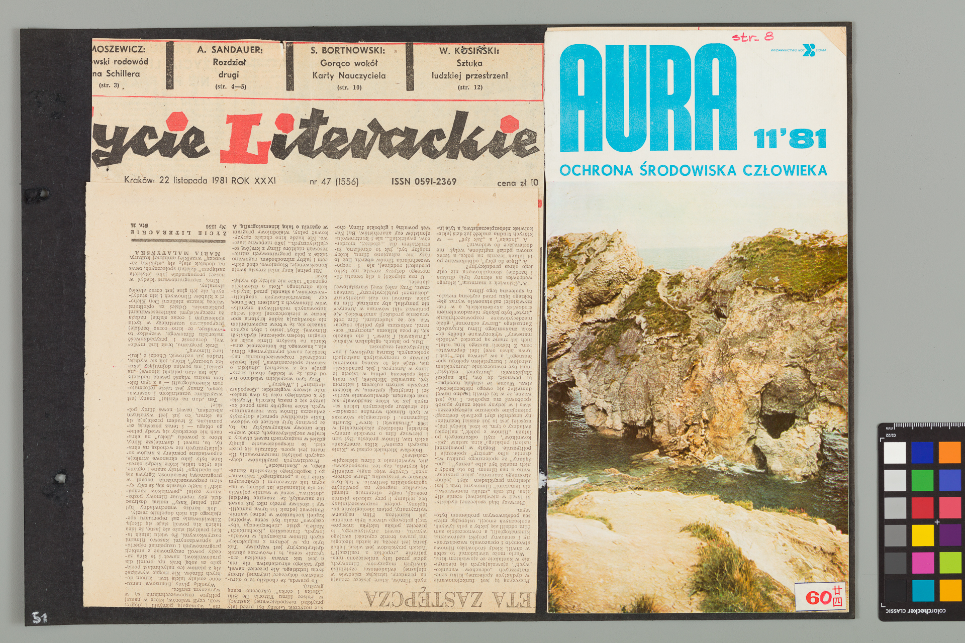 Strona z albumu Wejchertów