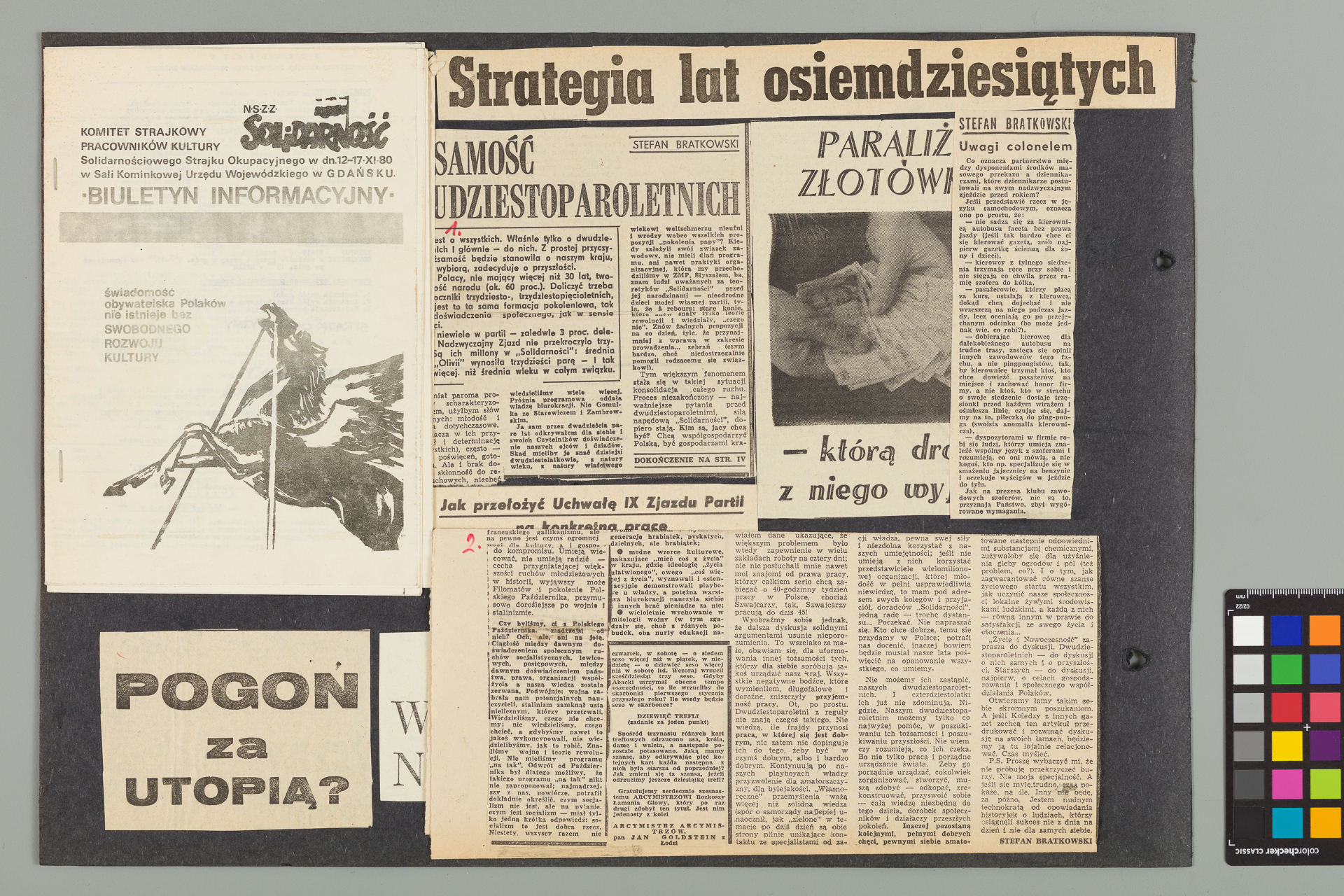 Strona z albumu Wejchertów