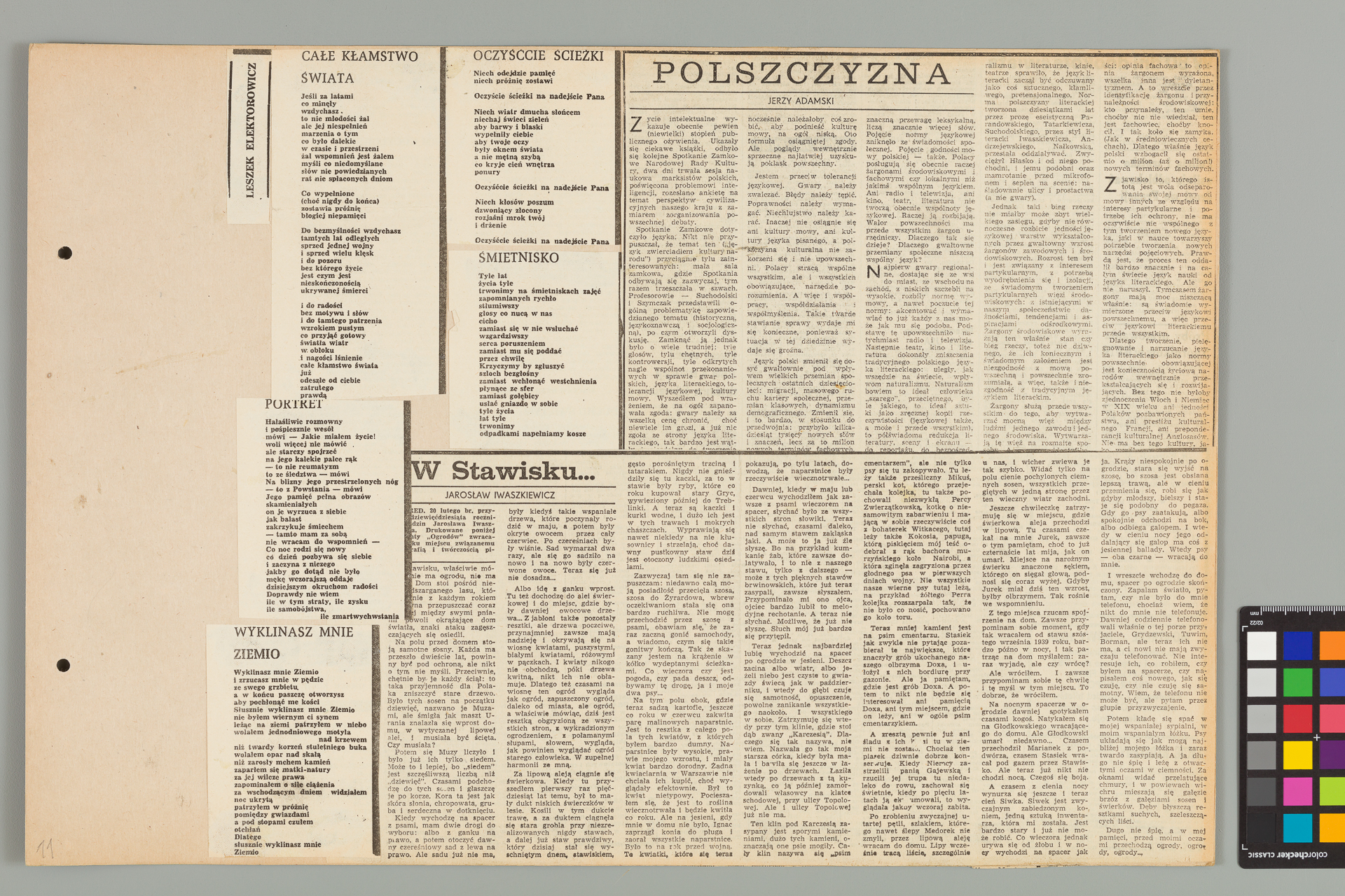 Strona z albumu Wejchertów