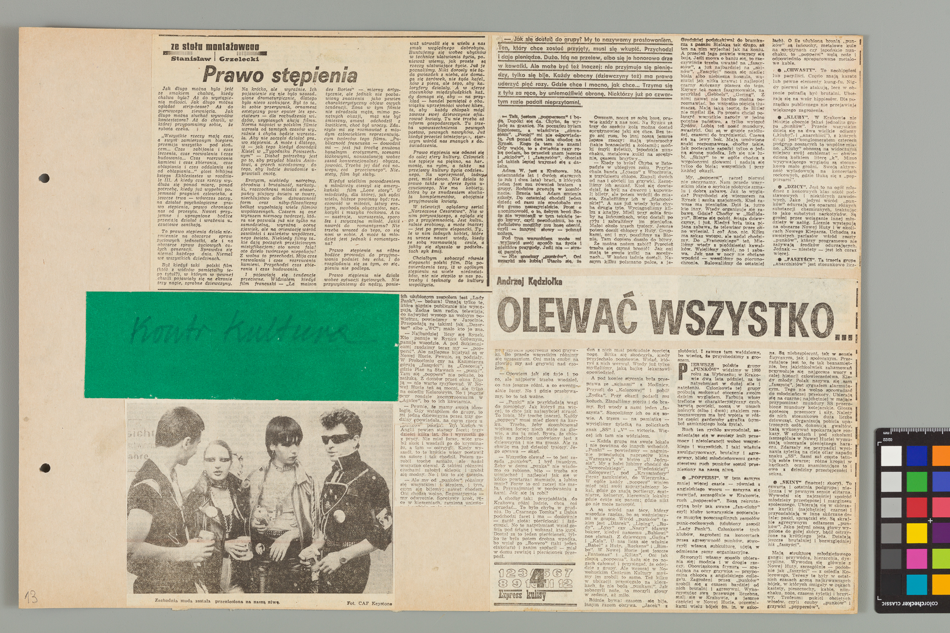 Strona z albumu Wejchertów