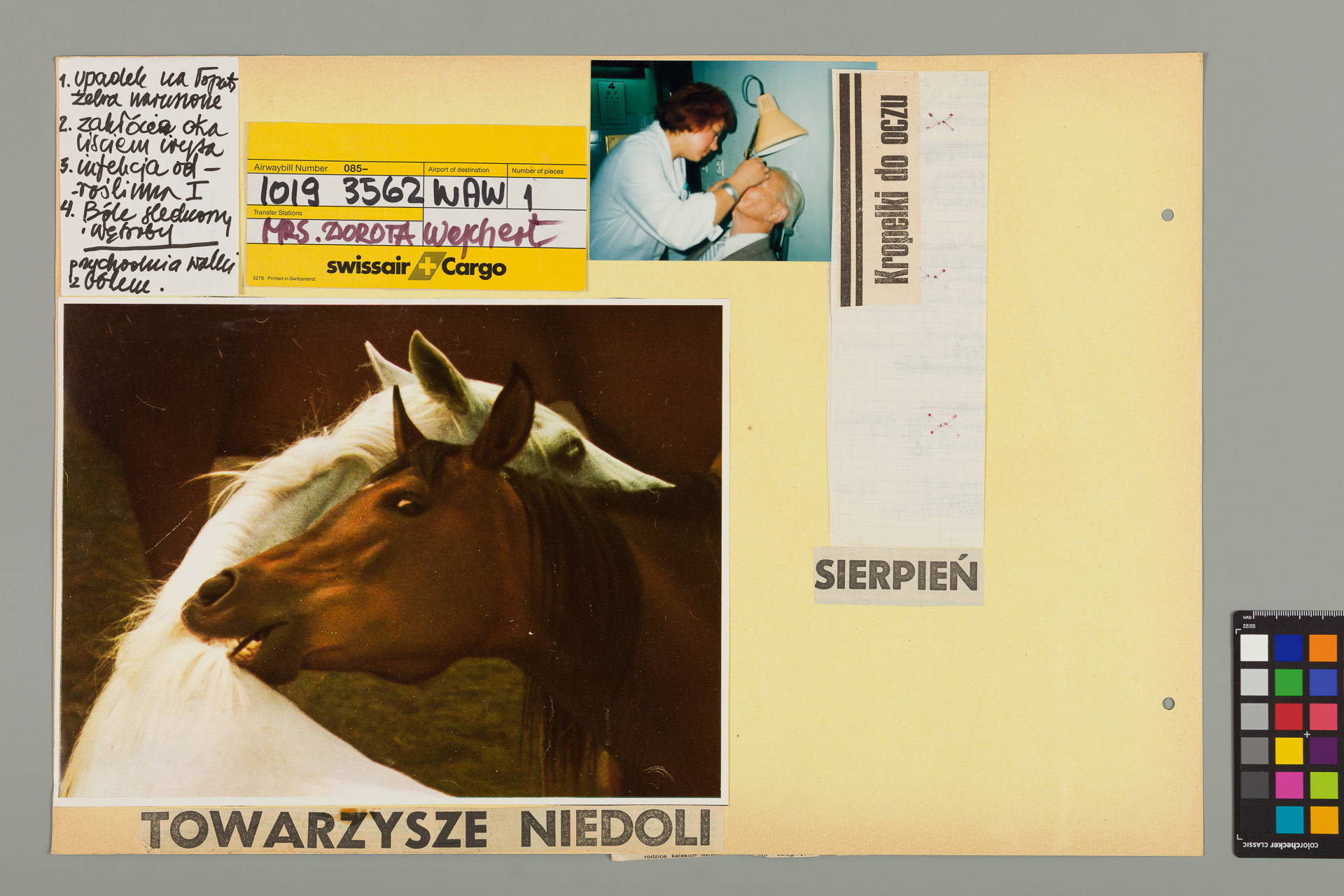 Strona z albumu Wejchertów