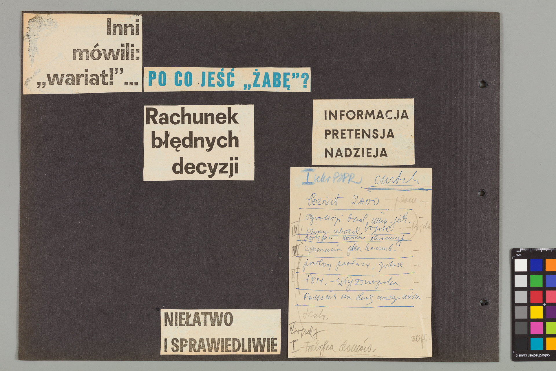 Strona z albumu Wejchertów